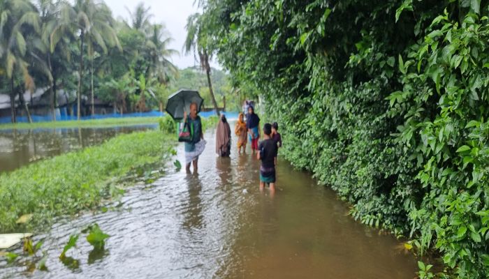 বন্যা: লক্ষ্মীপুরে ১০ দিনে সাপে কেটেছে ১১২ জনকে