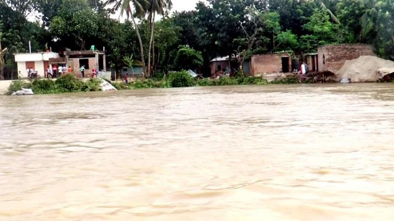 পদ্মায় পানি বাড়ায় কুষ্টিয়ার চরাঞ্চলের ৩৭ গ্রাম প্লাবিত