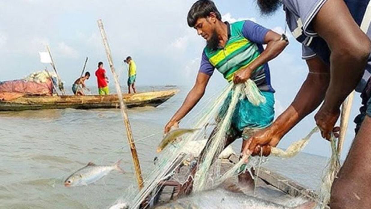 মধ্যরাত থেকে ২২ দিনের জন্য ইলিশ ধরা বন্ধ