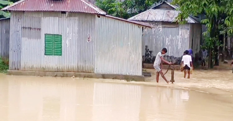 ময়মনসিংহে ভারী বর্ষণ-পাহাড়ি ঢলে কয়েক হাজার মানুষ পানিবন্দি