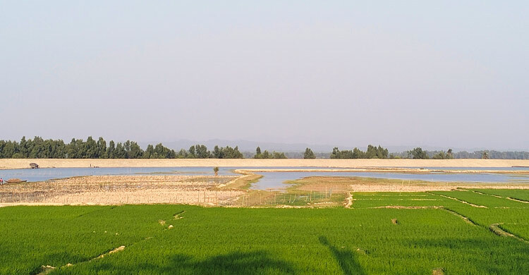 উখিয়া সীমান্তে ভেসে আসছে বিস্ফোরণের শব্দ