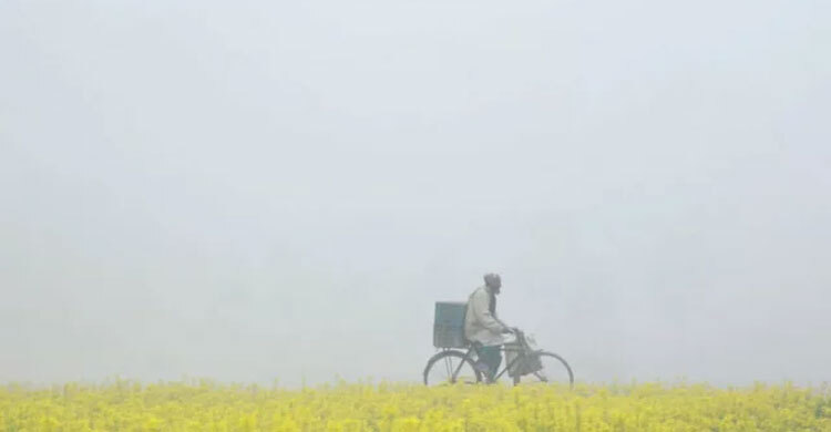 কবে-কোথায় শৈত্যপ্রবাহ, জানালো আবহাওয়া অফিস