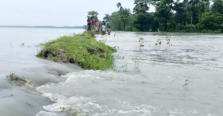 বরগুনায় বেড়িবাঁধ ভেঙে গ্রাম প্লাবিত, আতঙ্কে এলাকাবাসী