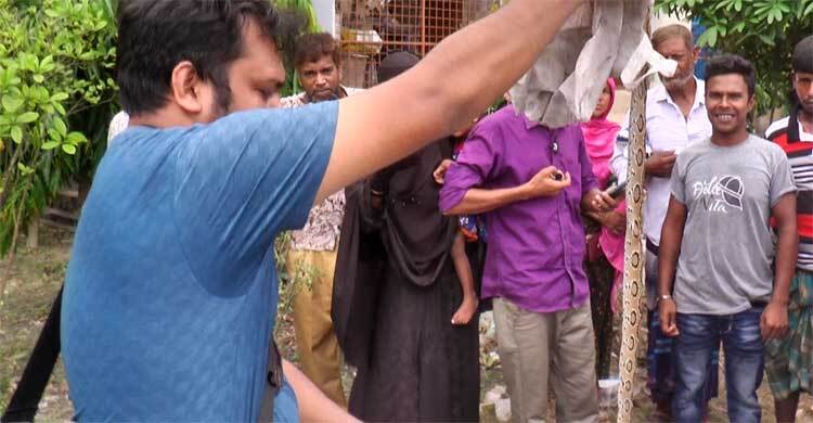কুষ্টিয়ায় রাসেলস ভাইপারের কামড়ে দুজনের মৃত্যু