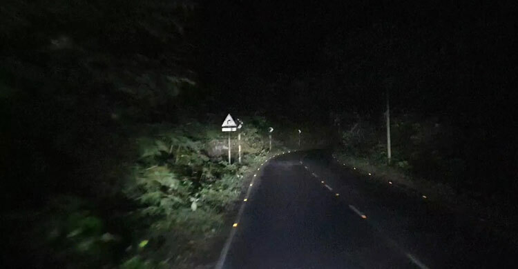 মৌলভীবাজারে রাতে সড়কে গাছ ফেলে যানবাহনে ঘণ্টাব্যাপী ডাকাতি আহত অন্তত ২০