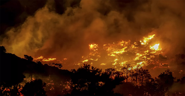 গ্রিসে ভয়াবহ দাবানল, নিয়ন্ত্রণে হিমশিম খাচ্ছে দমকলবাহিনী