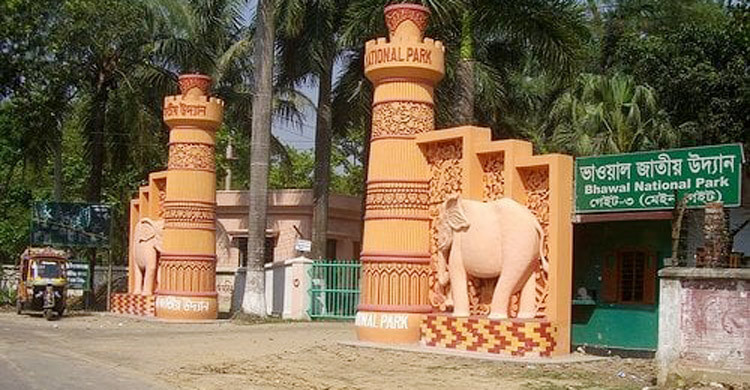 ভাওয়াল জাতীয় উদ্যানে থেকে ৬১টি অবৈধ স্থাপনা উচ্ছেদ