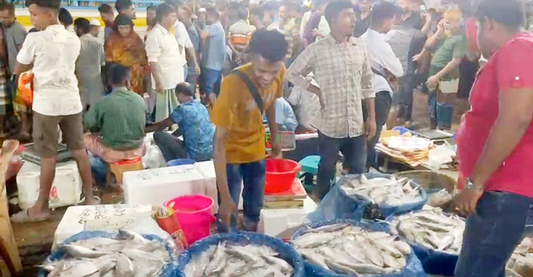 ফরিদপুরে রাতভর ইলিশ মেলায় মানুষের ঢল