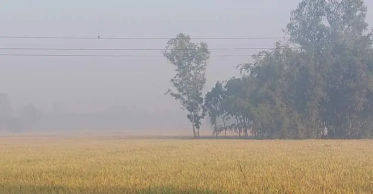 পঞ্চগড়ে আবারো ১২ ডিগ্রিতে নামলো তাপমাত্রা