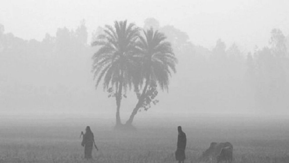 ডিসেম্বরের শেষ সপ্তাহে মাঝারি শৈত্যপ্রবাহের আভাস