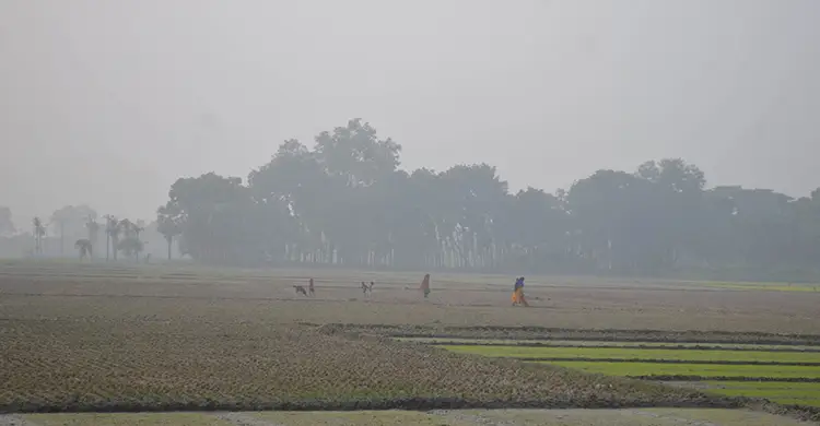 দেশের সর্বনিম্ন তাপমাত্রা যশোরে, হাড়কাঁপানো শীতে স্থবির জনজীবন