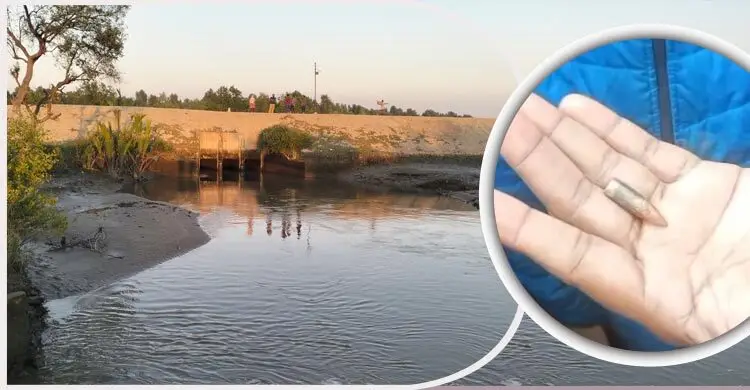 রাখাইনে রাতভর ড্রোন হামলা-গোলাগুলি, পড়ছে এপারে