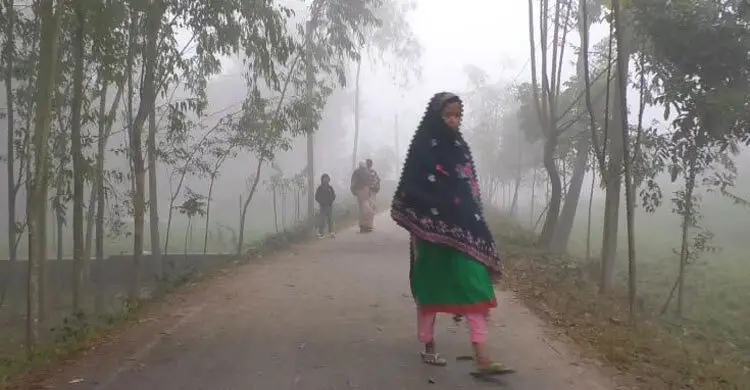 নীলফামারীতে ঘন কুয়াশায় ঢাকা পড়ছে জনপথ, বাড়ছে ভোগান্তি
