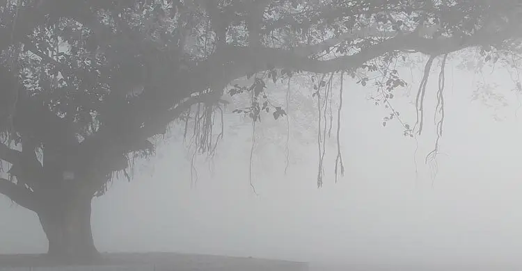 দেশের সর্বনিম্ন তাপমাত্রা পঞ্চগড়ে ৭.৩ ডিগ্রি