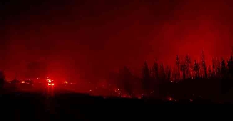 দক্ষিণ গোলার্ধজুড়ে ২০২৬ সালের শুরুতেই রেকর্ড তাপমাত্রা-ভয়াবহ দাবানল