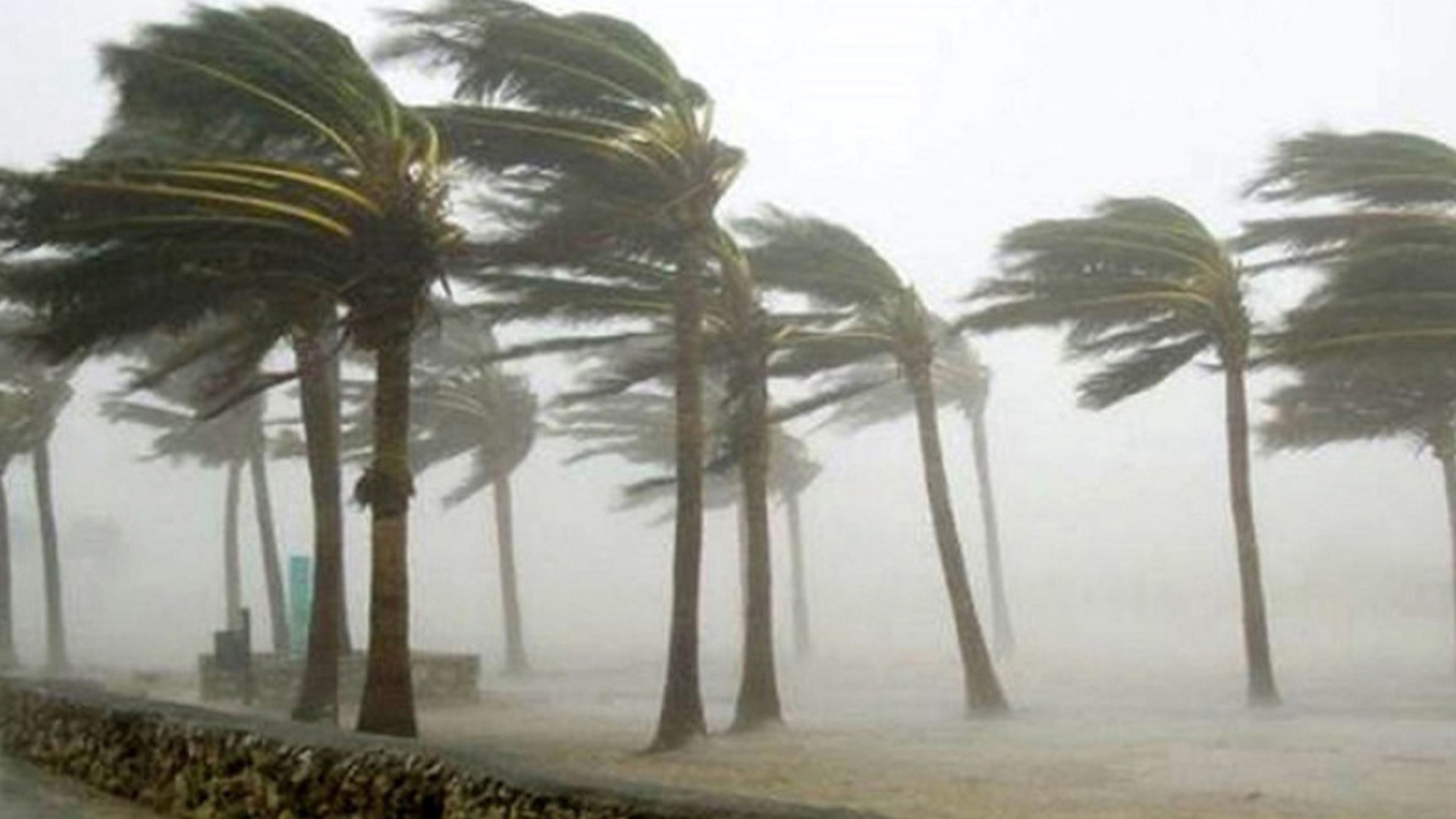 সন্ধ্যার মধ্যে যেসব জেলায় ৬০ কিমি বেগে ঝড় ও বজ্রসহ বৃষ্টির আভাস