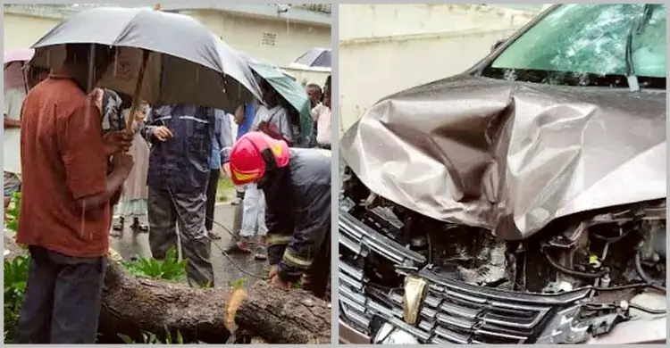 ফটিকছড়িতে চলন্ত প্রাইভেটকারে হঠাৎ ভেঙে পড়লো গাছ